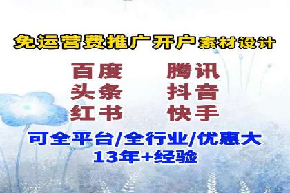 竞价广告的创意与执行：某快消品的营销突破