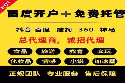 某知名企业SEM营销全案解析